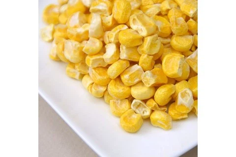 Dried Sweet Corn Bulk Dried Sweet Corn Bulk
